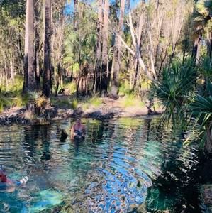 Meet your Posher, Robyn